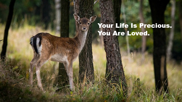 Your Life Is Precious. You Are Loved.